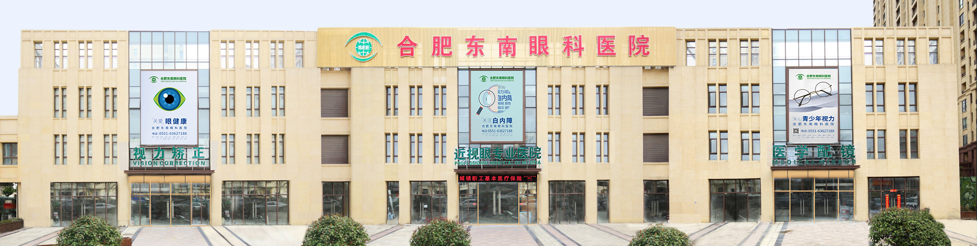 插入的图片